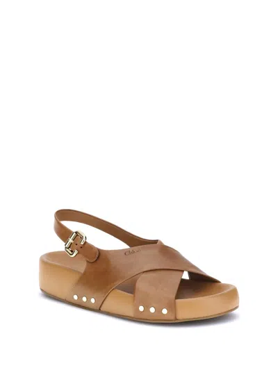 Chloé Calfskin Strappy Sandals Gold Studs