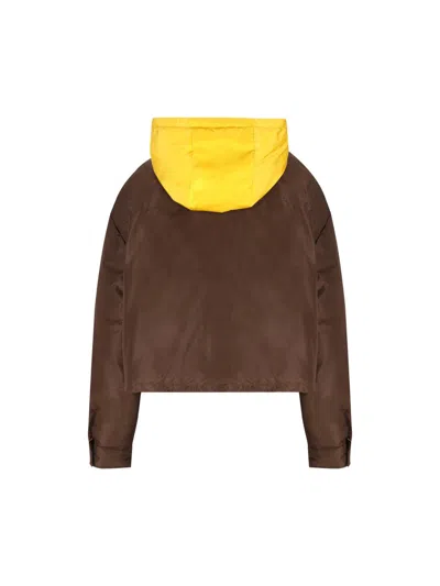 Miu Miu Coats