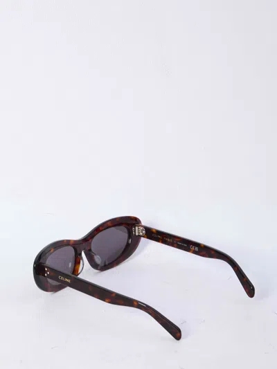 Celine Cat Eye S310 Sunglasses In Acetate