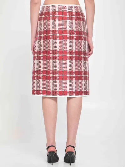Celine Women Checkered Skirt In Pink