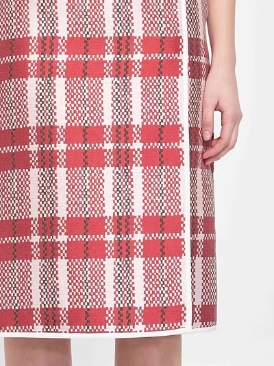 Celine Women Checkered Skirt In Pink