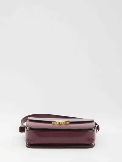 Celine Women Triomphe Classique Bag