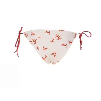 Fendi Women Coral Print Seaslip