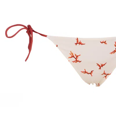 Fendi Women Coral Print Seaslip