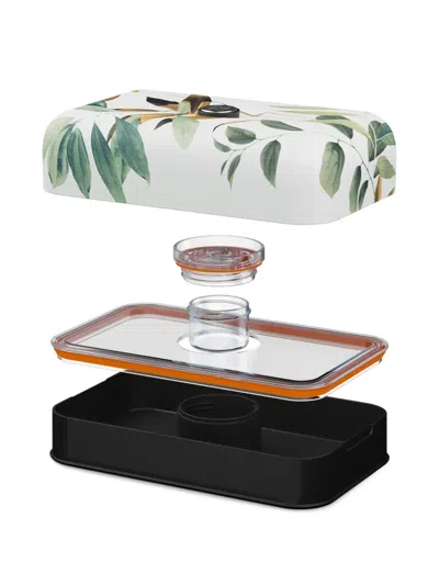 24bottles Leaf-print Lunchbox (14cm X 23cm) In Multi