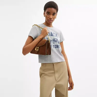 Coach Tabby Chain Suede Leather Shoulder Bag In Brown