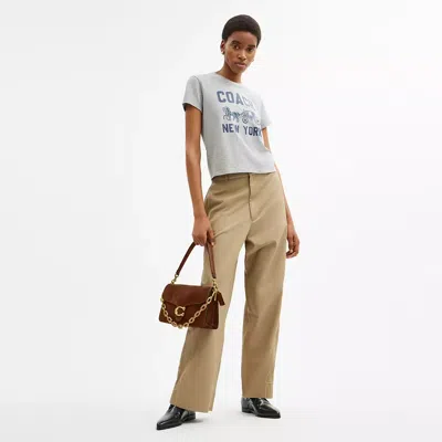 Coach Tabby Chain Suede Leather Shoulder Bag In Brown