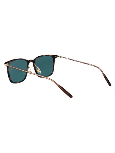 Montblanc Havana-gold-green Injection Sunglasses