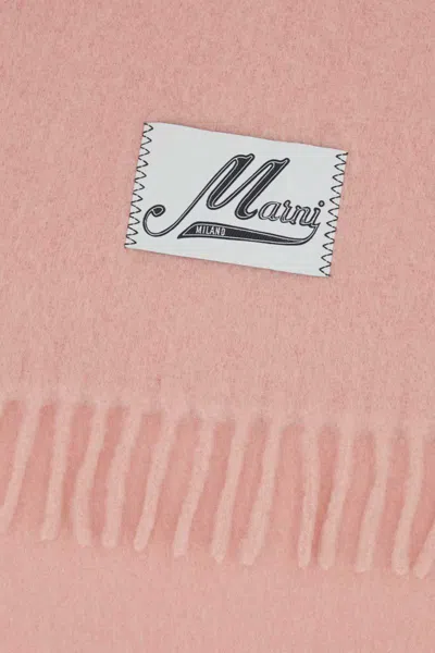 Marni Scarves And Foulards In Pink