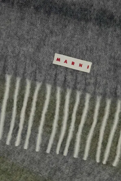 Marni Scarves And Foulards In Gray