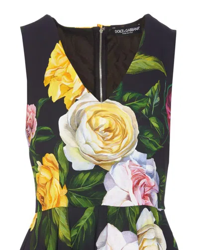 Dolce & Gabbana Peony And Rose-print Cady Midi Dress With Circle Skirt