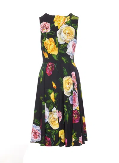Dolce & Gabbana Peony And Rose-print Cady Midi Dress With Circle Skirt