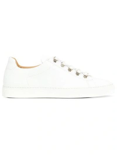 Koio gavia bianco sale
