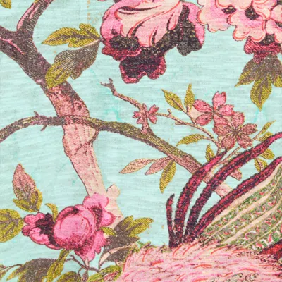 Roberto Cavalli T-shirt With Naturalistic Print