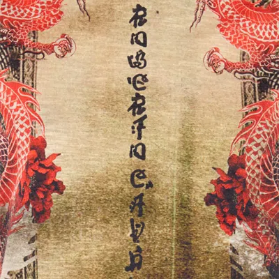 Roberto Cavalli Cotton T-shirt With Oriental Print In Multi