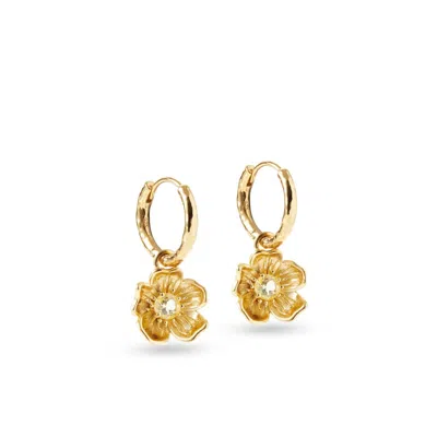 Aspinal Of London Buttercup Hoop Earrings