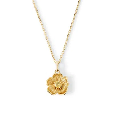 Aspinal Of London Buttercup Necklace
