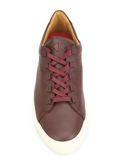 Shop Koio Collective Gavia Marsala Sneakers In Brown