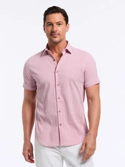 Robert Graham Fornillo Classic Fit Stripe Short Sleeve Button-up Shirt