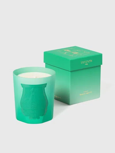 Trudon Under The Trees Candle