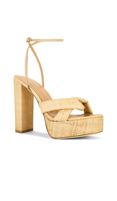 Raye Cayden Platform