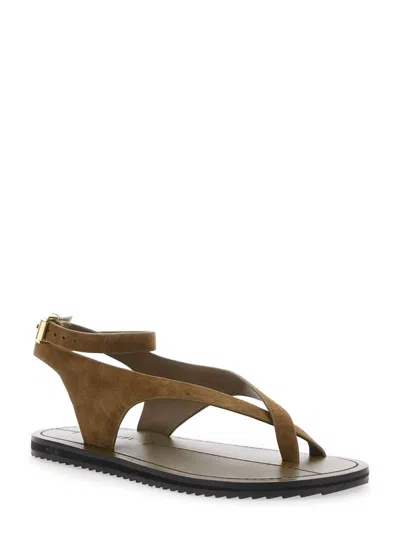 A.emery 'millar' Brown Sandals With Criss-crossed Straps And Buckle Closure In Leather Woman