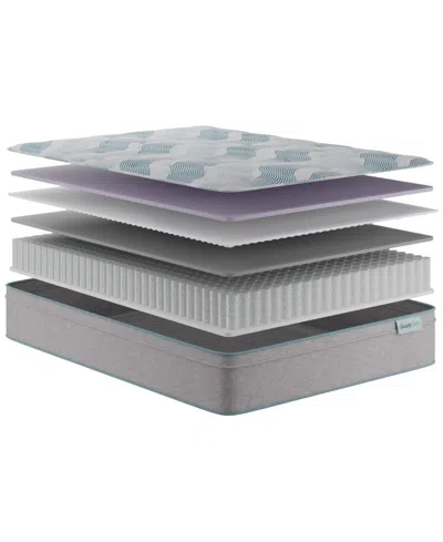 Beautyrest Beautysleep Bashful Lullaby 12.25 Medium Euro Top Mattress Collection In Gray