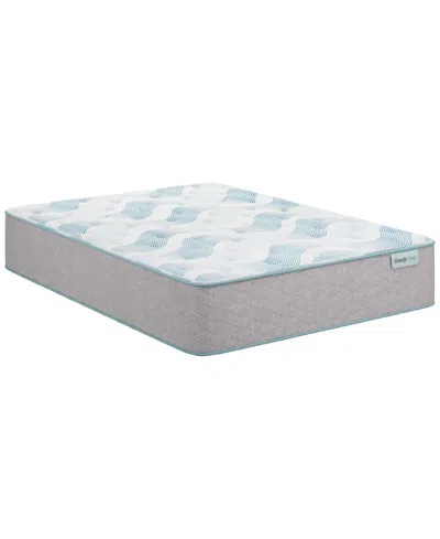 Beautyrest Beautysleep Bashful Lullaby 13.75 Plush Tight Top Mattress Collection In Gray