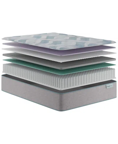 Beautyrest Beautysleep Bashful Lullaby 13.75 Plush Tight Top Mattress Collection In Gray