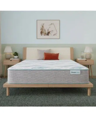Beautyrest Beautysleep Bashful Lullaby 11.5 Firm Tight Top Mattress Collection In Gray