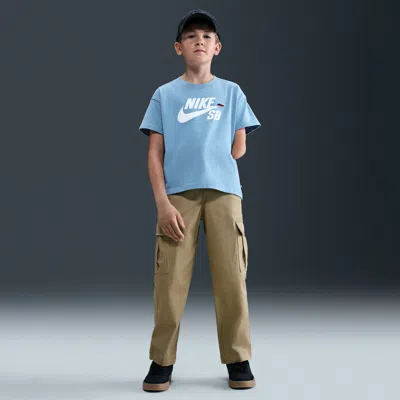 Nike Sb Big Kid's Cargo Skate Pants In Blue