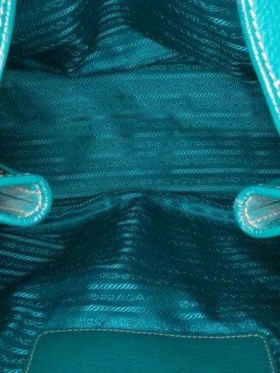 Pre-owned Prada 2000-2024 Vitello Daino Hobo Bag