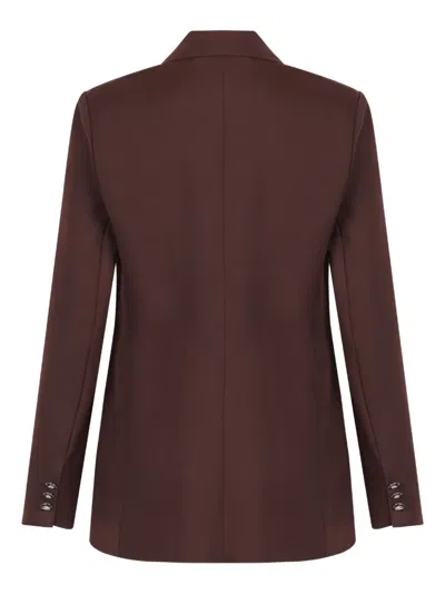 Elisabetta Franchi Double-breasted Buttoned Blazer In Brown