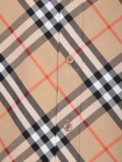 Burberry Shirts In Brown