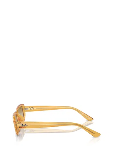 Ray Ban Rb4436d Sunglasses