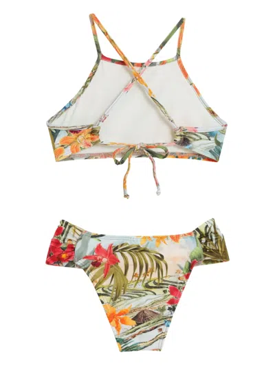 Lygia & Nanny Tulip Bikini In Green