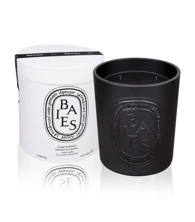 Diptyque Baies Candle Indoor And Outdoor Edition In Multi