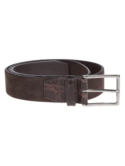 Orciani Classic Belt In Brown