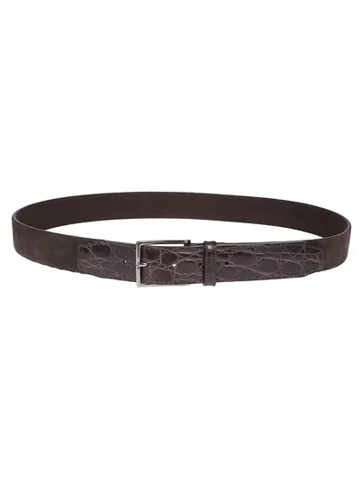 Orciani Classic Belt In Brown