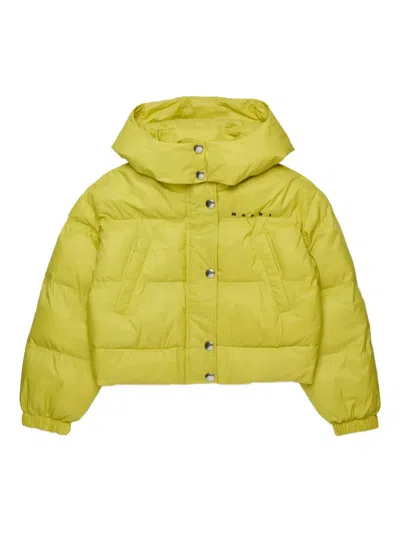 Marni Logo-print Padded Jacket