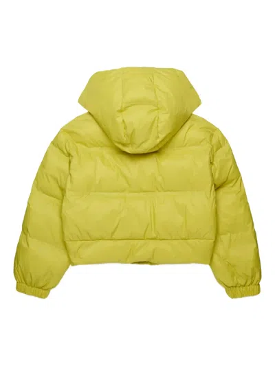 Marni Logo-print Padded Jacket