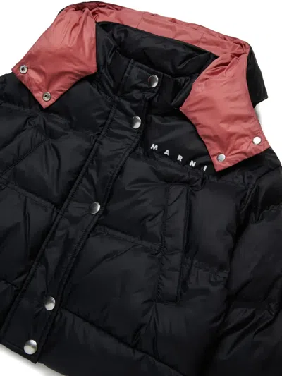 Marni Logo-print Padded Jacket