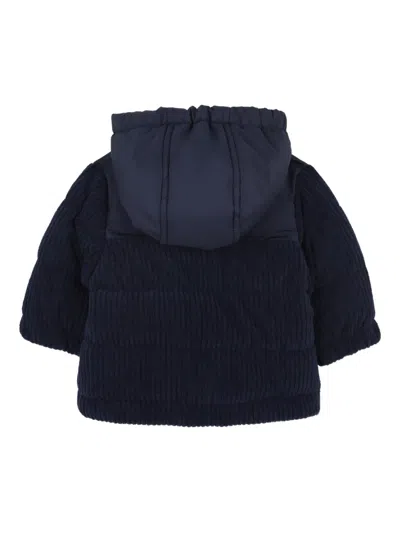 Bosswear Cord-effect Padded Jacket In Blue