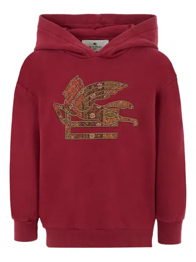 Etro Pegaso-embroidered Hoodie In Brown