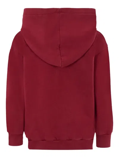 Etro Pegaso-embroidered Hoodie In Brown