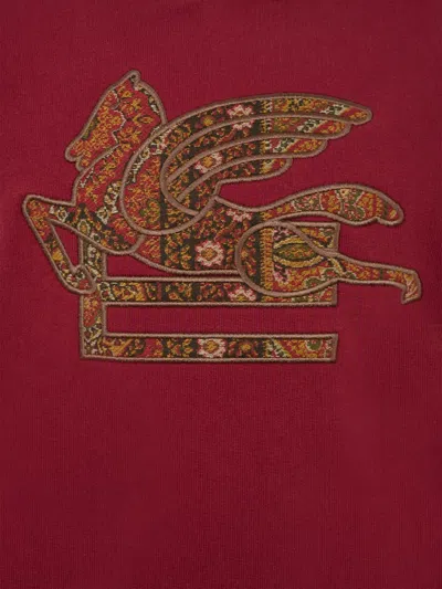 Etro Pegaso-embroidered Hoodie In Brown