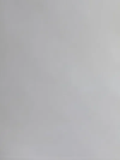 Wolford Top Jamaika In White