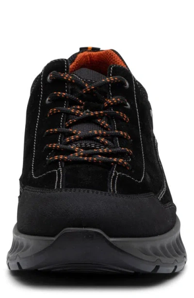 Ara Petro Waterproof Sneaker
