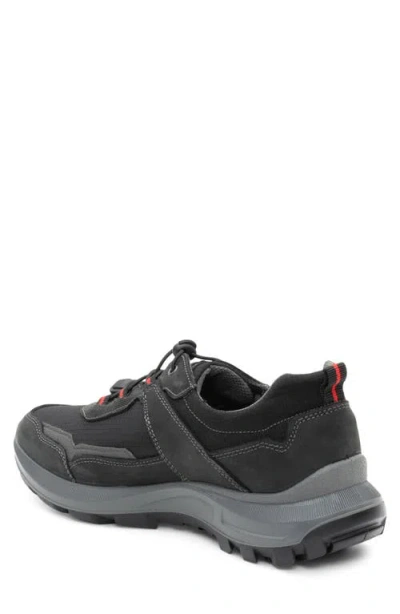 Ara Marshall Water Resistant Sneaker In Multi