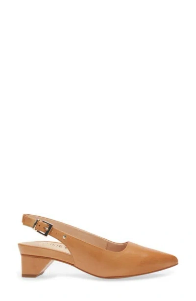 Frankie4 Juliett Ii Pointed Toe Slingback Pump